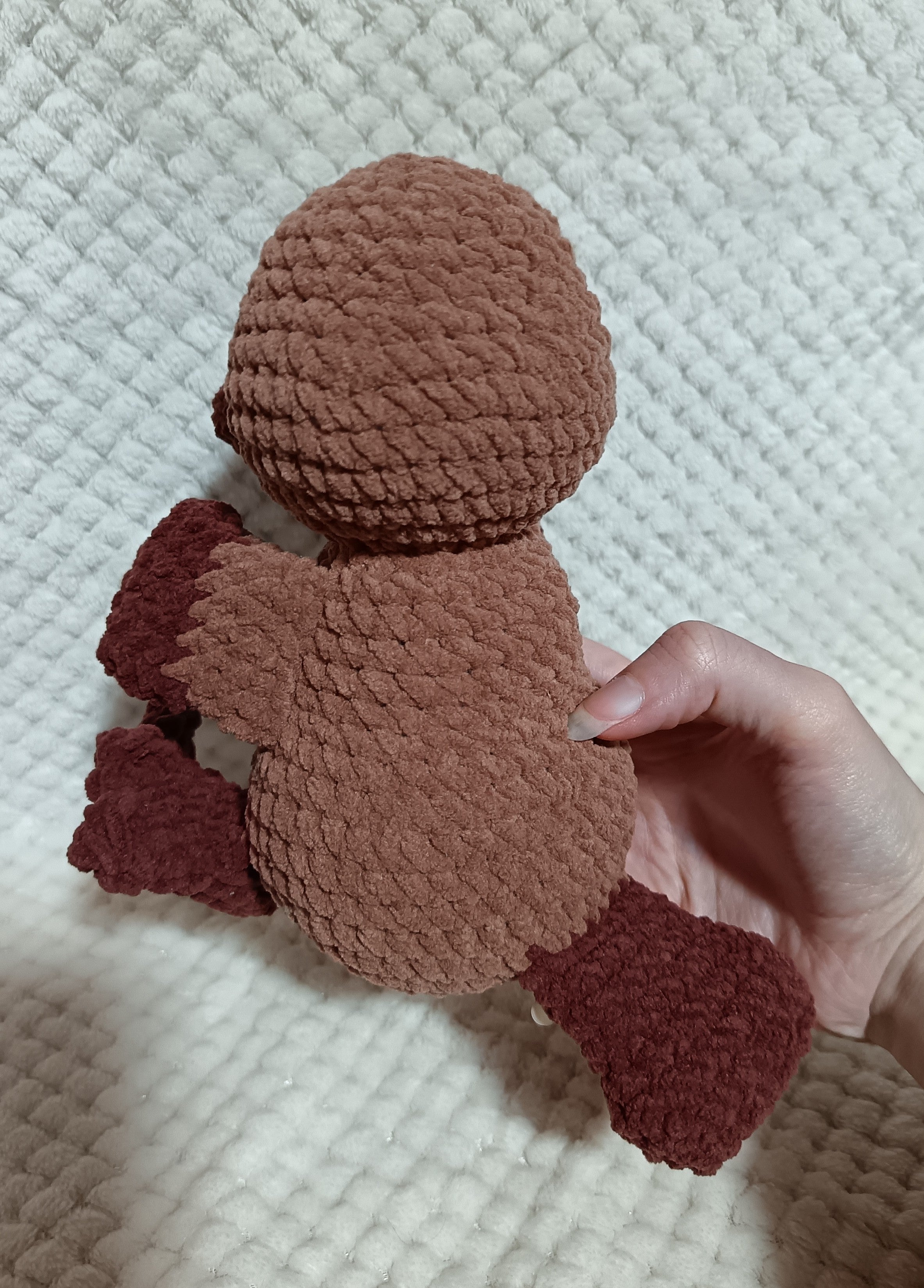 Grand ornithorynque