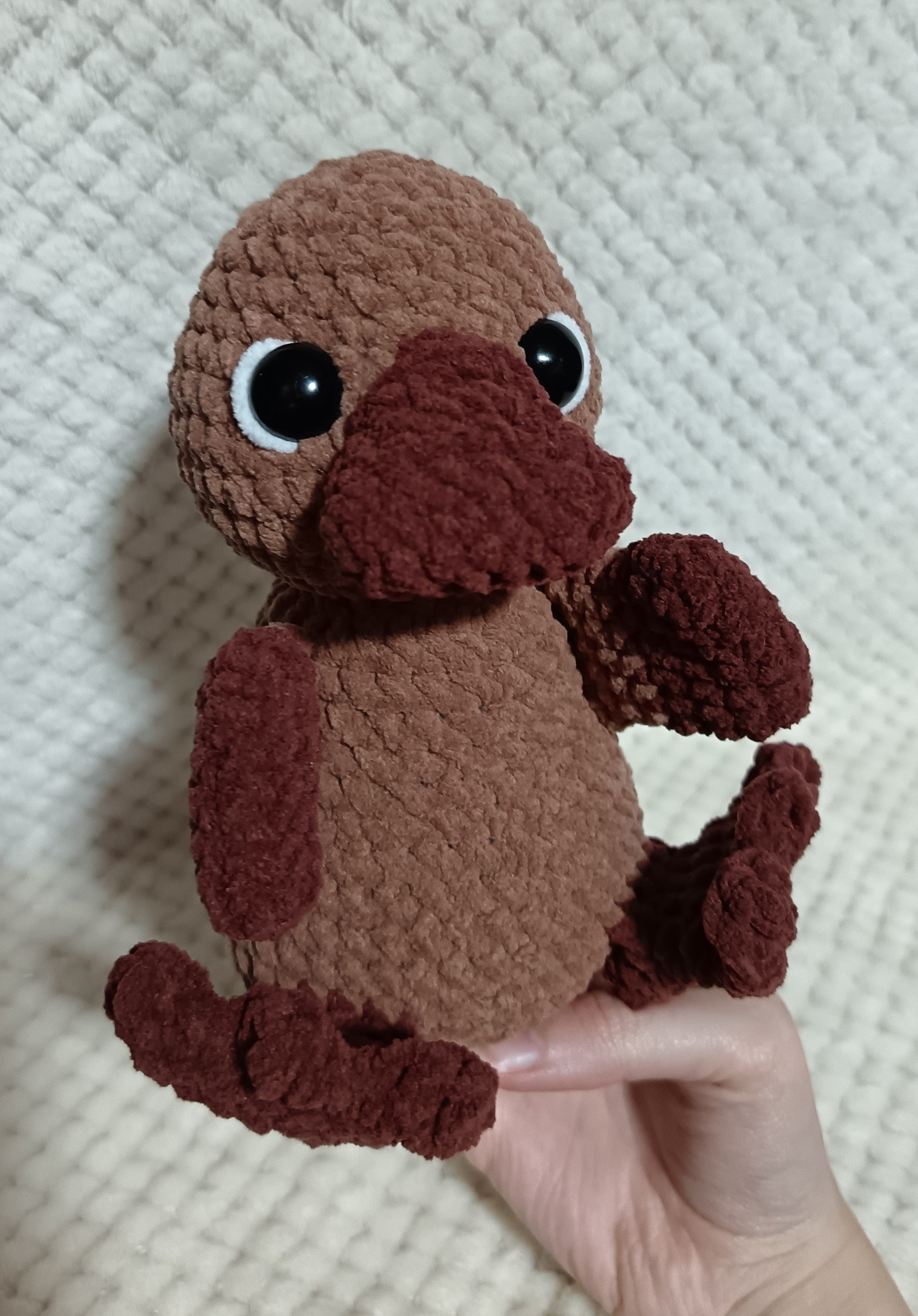 Grand ornithorynque