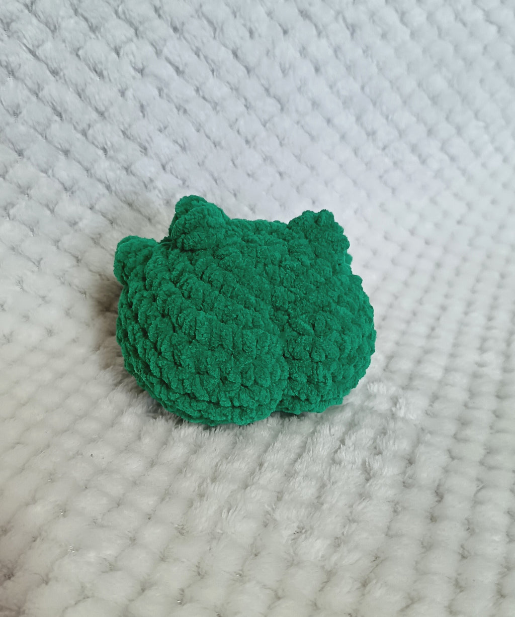 Grenouilles rigolotes
