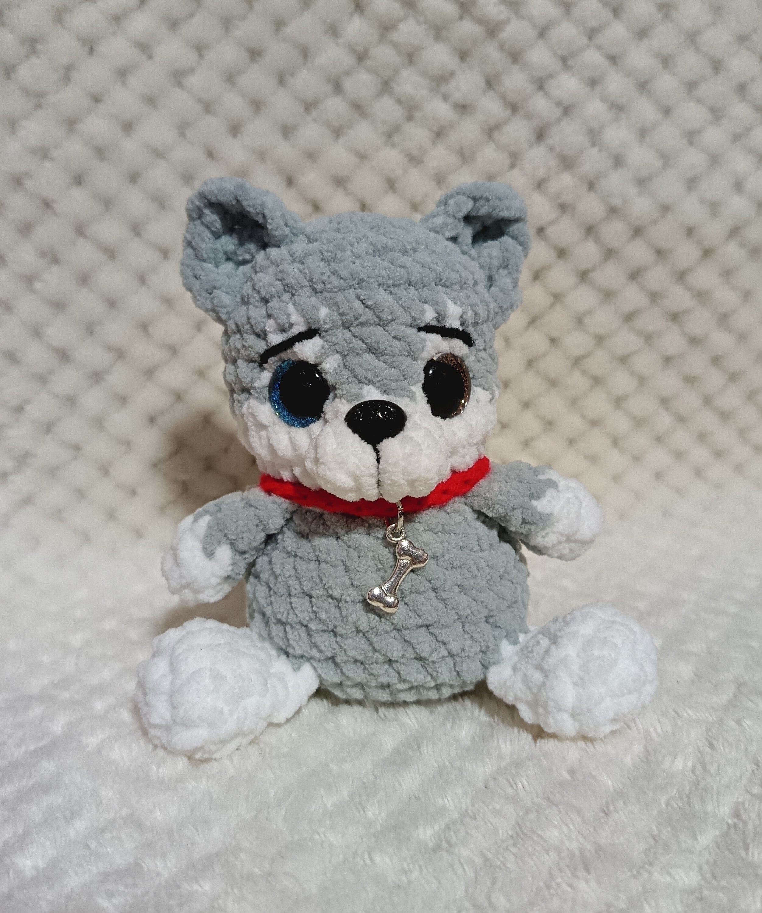 Husky avec collier os