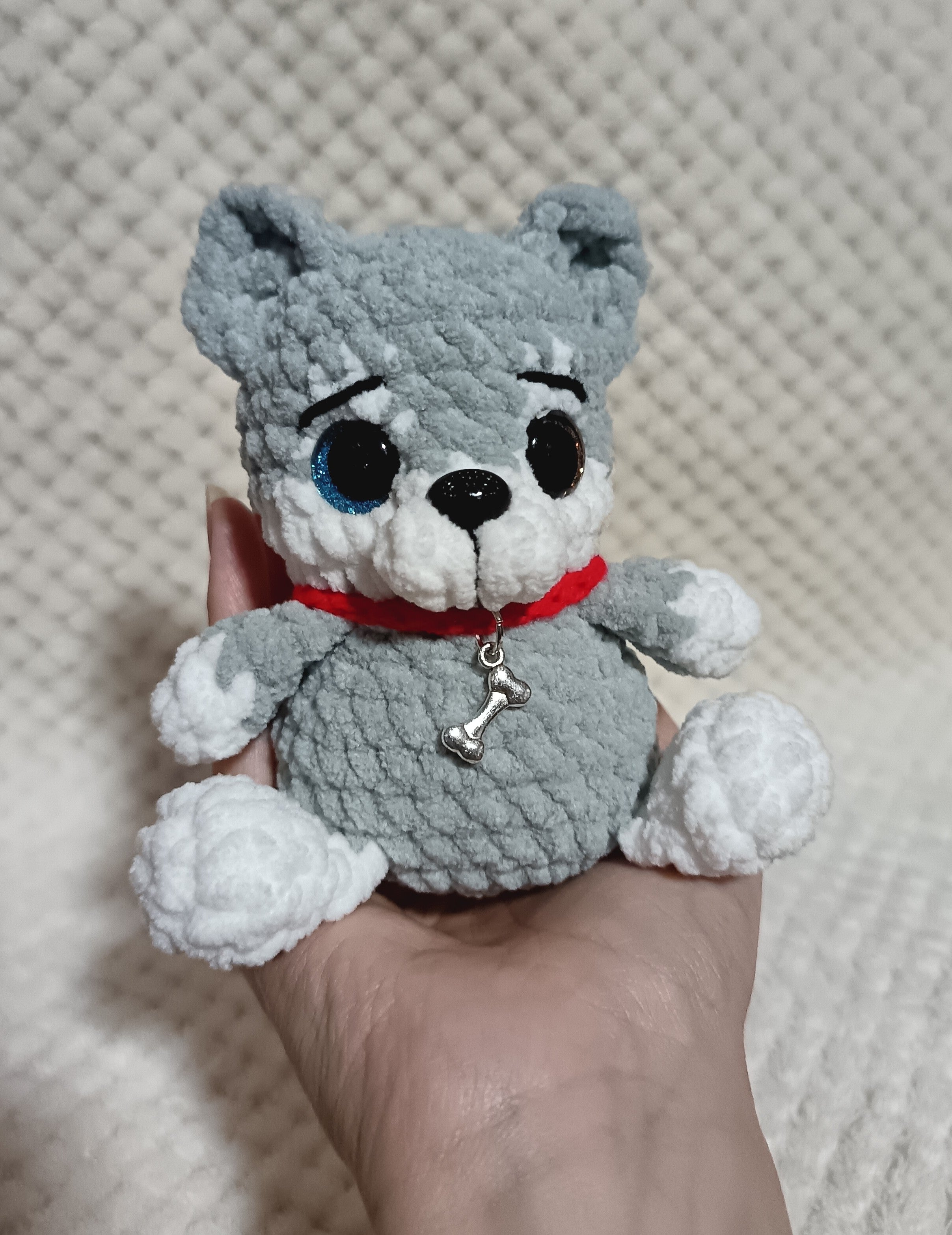 Husky avec collier os