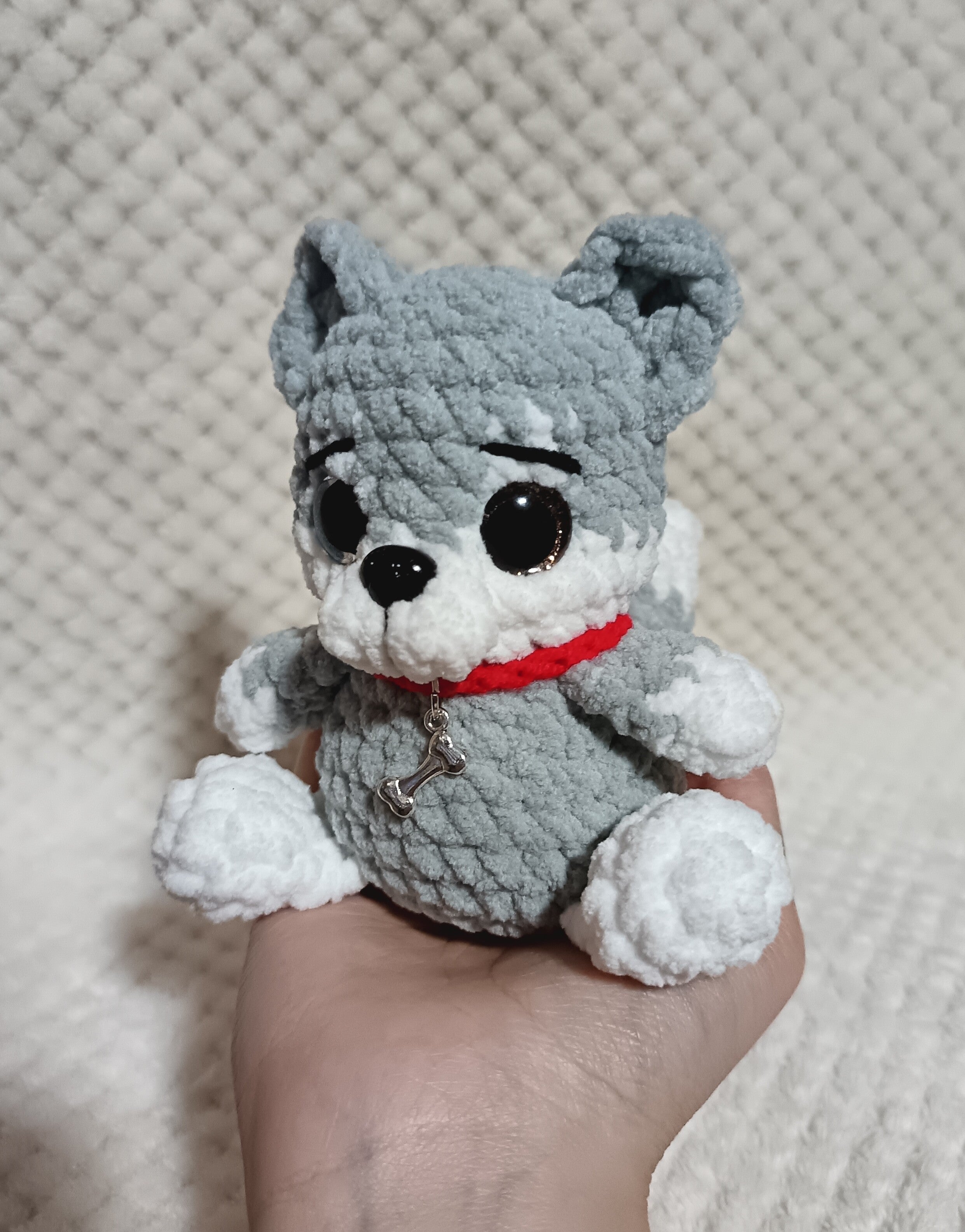 Husky avec collier os