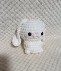 Petit Lapin blanc