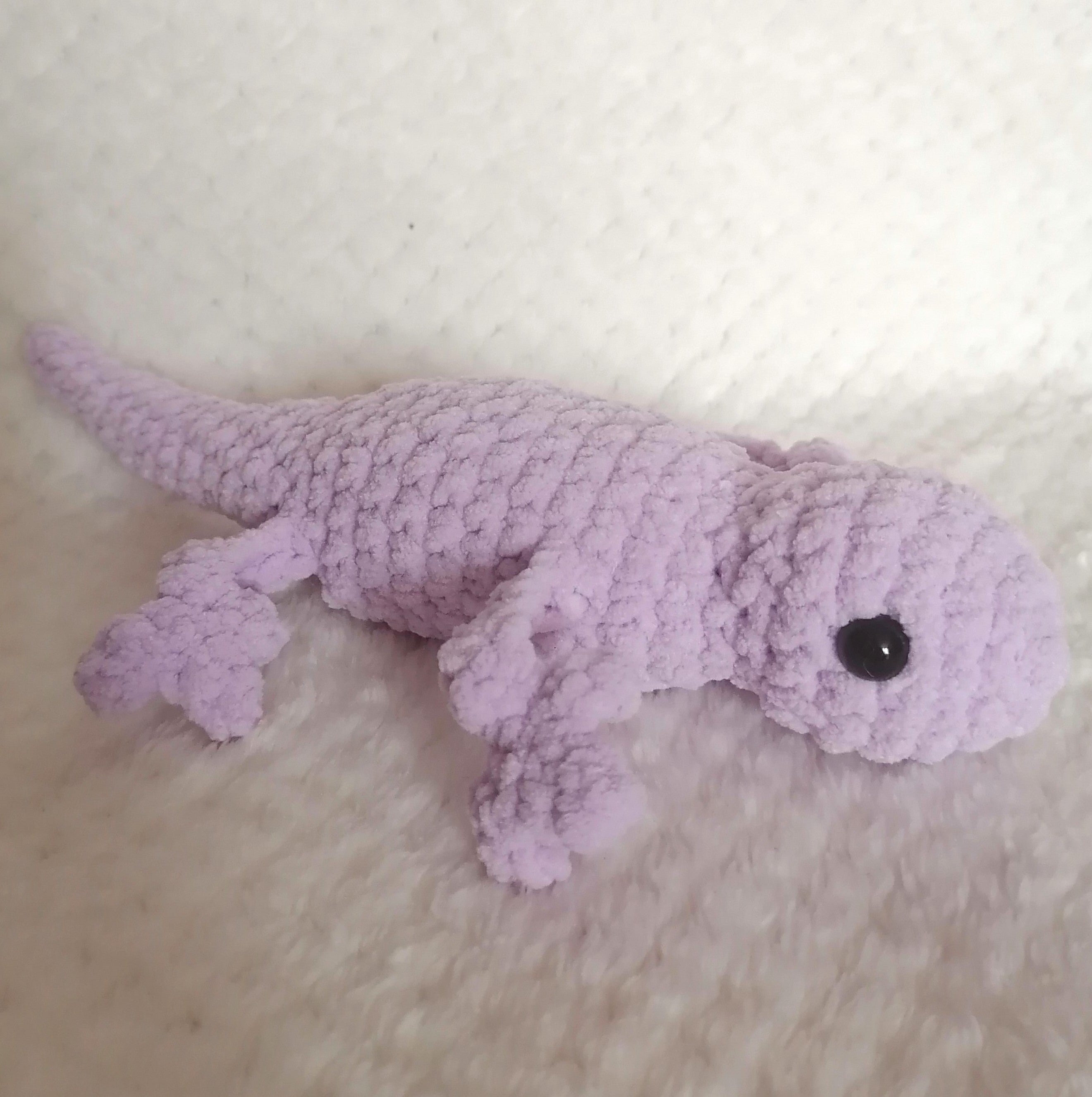 Lézard