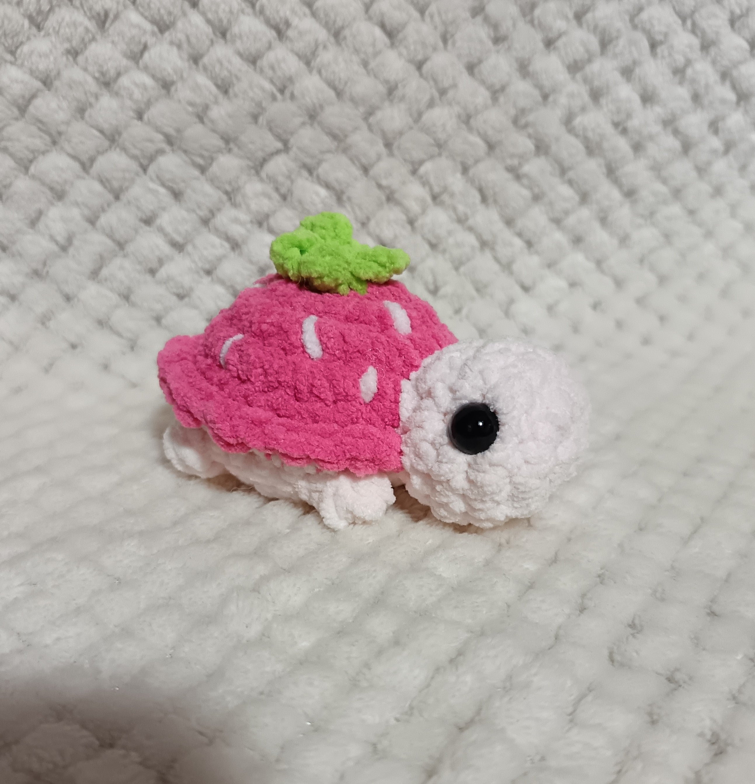 Mini Tortues Fruits