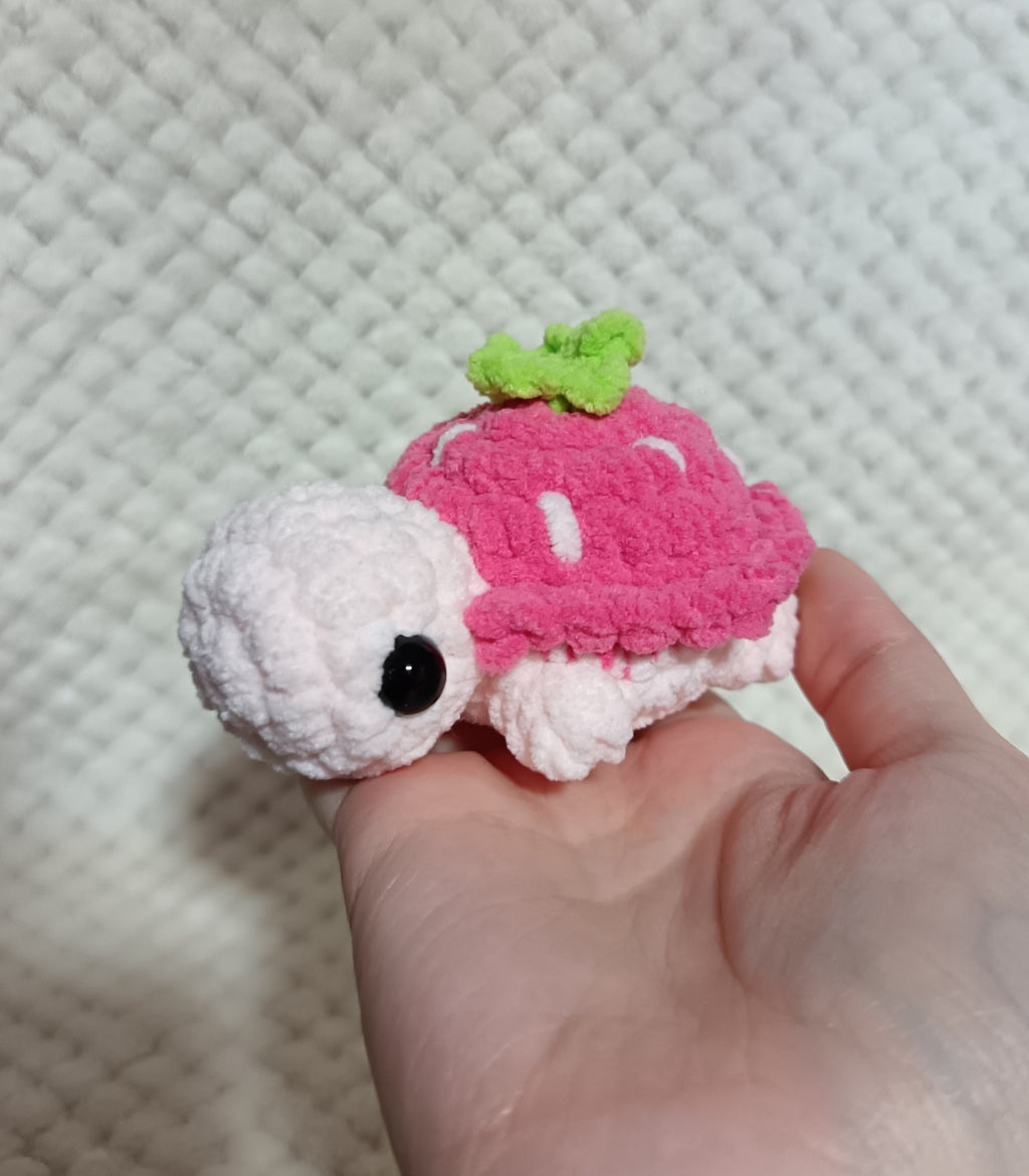 Mini Tortues Fruits