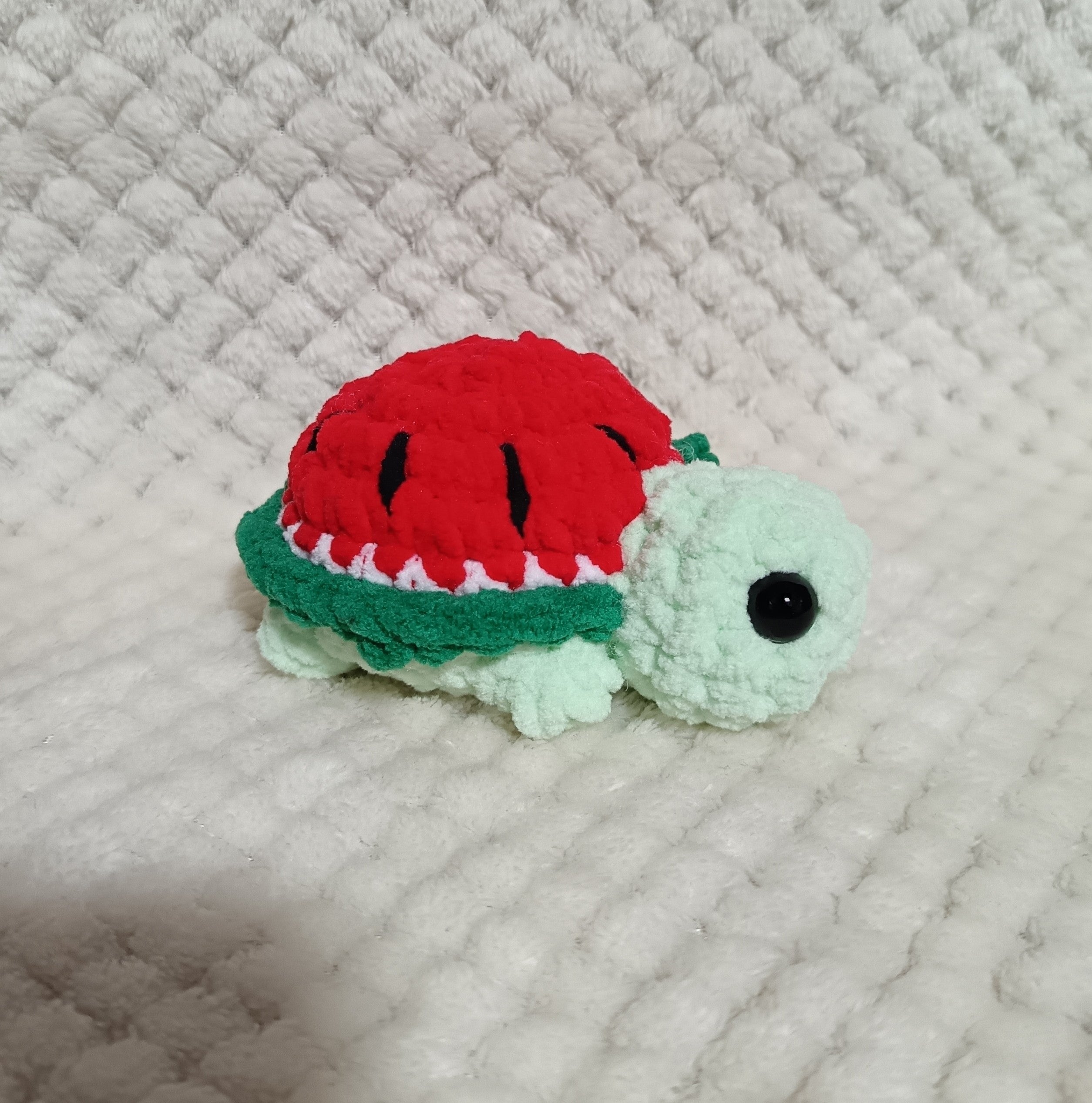 Mini Tortues Fruits