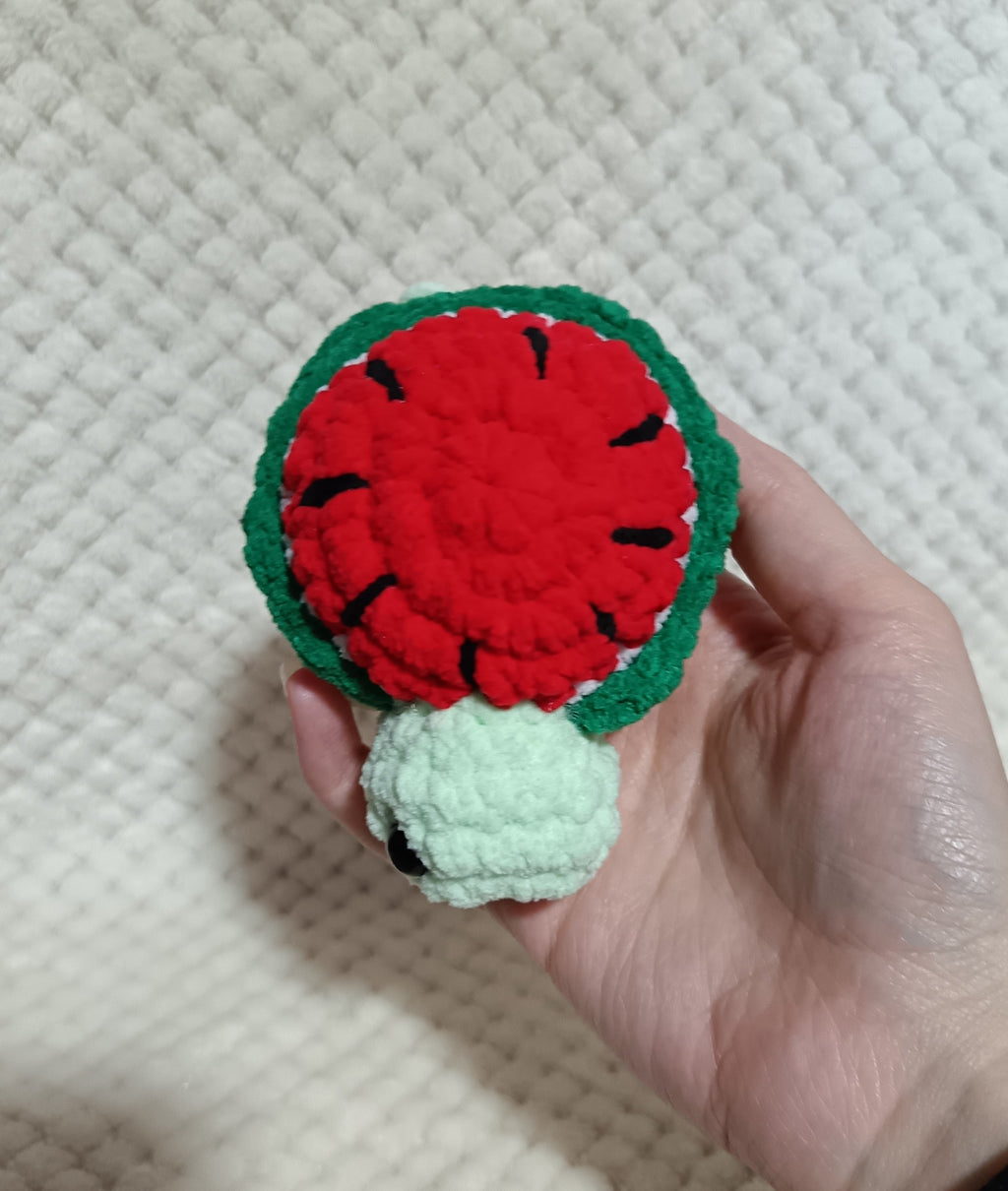 Mini Tortues Fruits