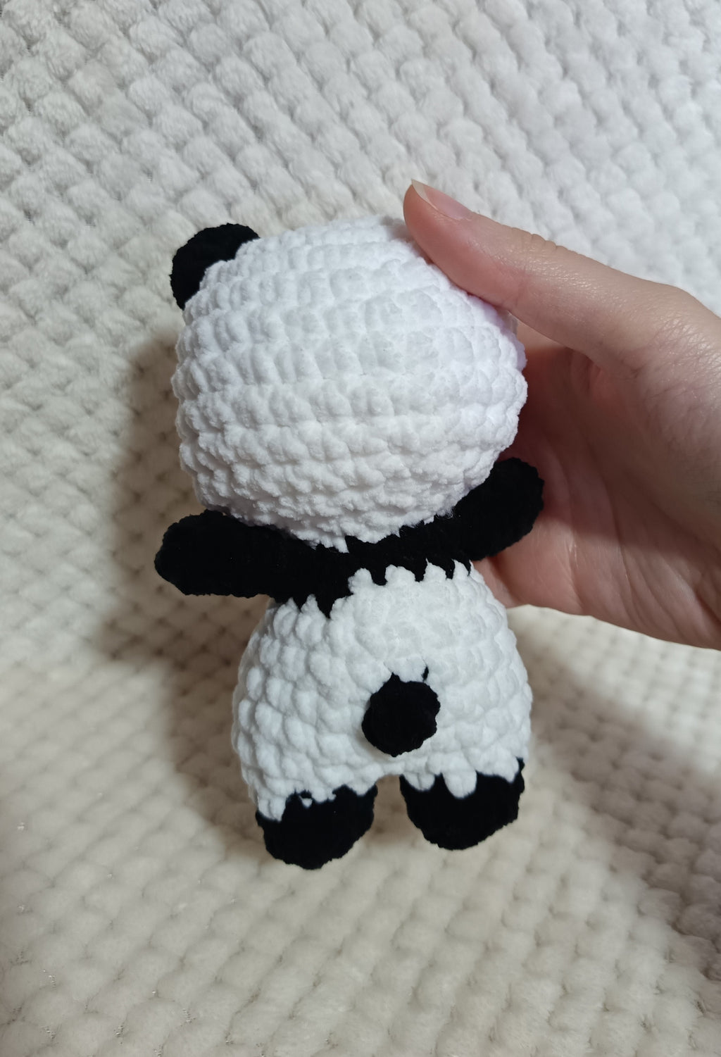 Petit Panda