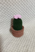 Petit Cactus