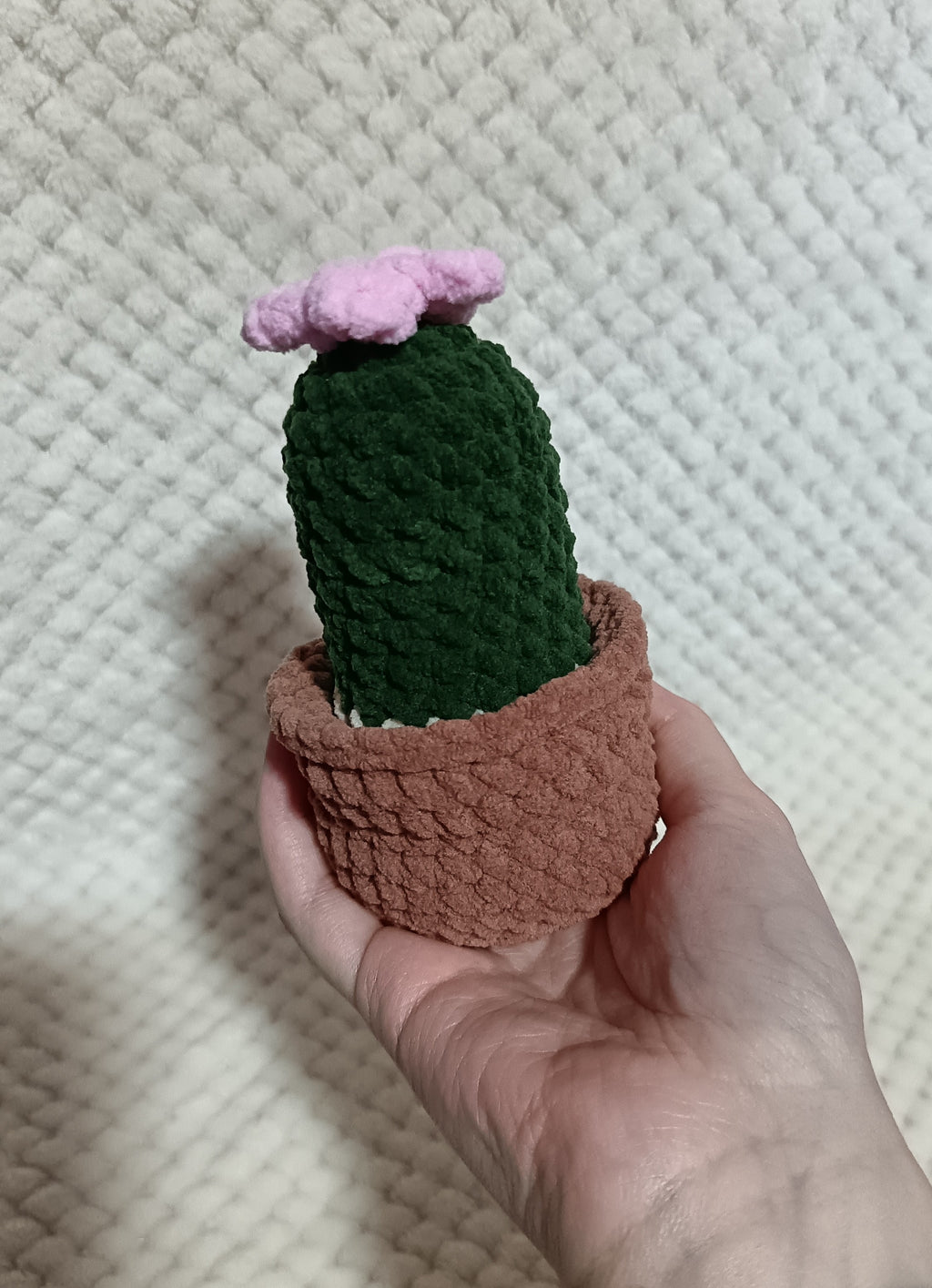 Petit Cactus