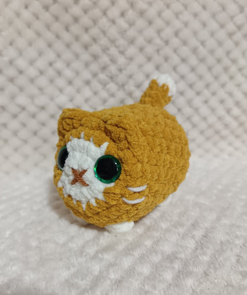 Chat boule roux et blanc