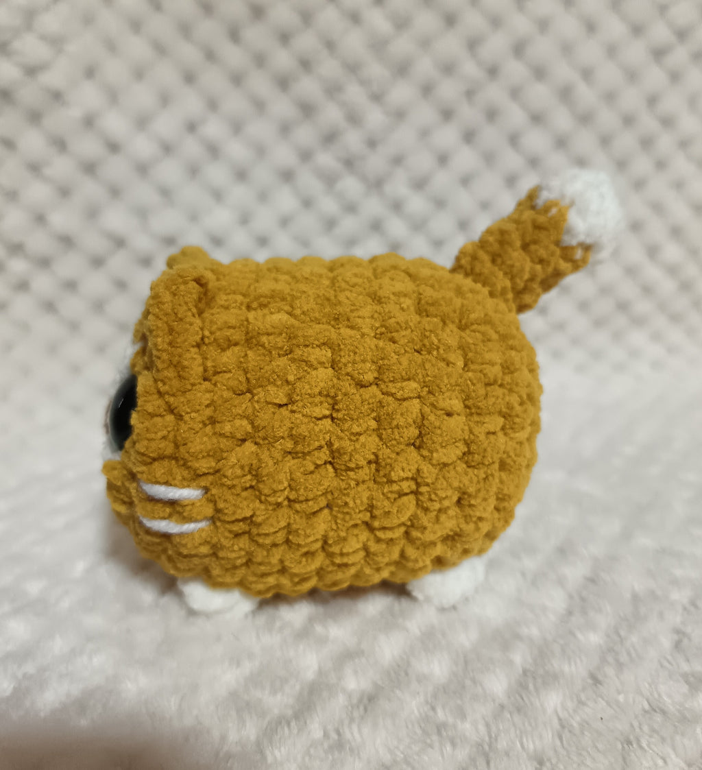 Chat boule roux et blanc