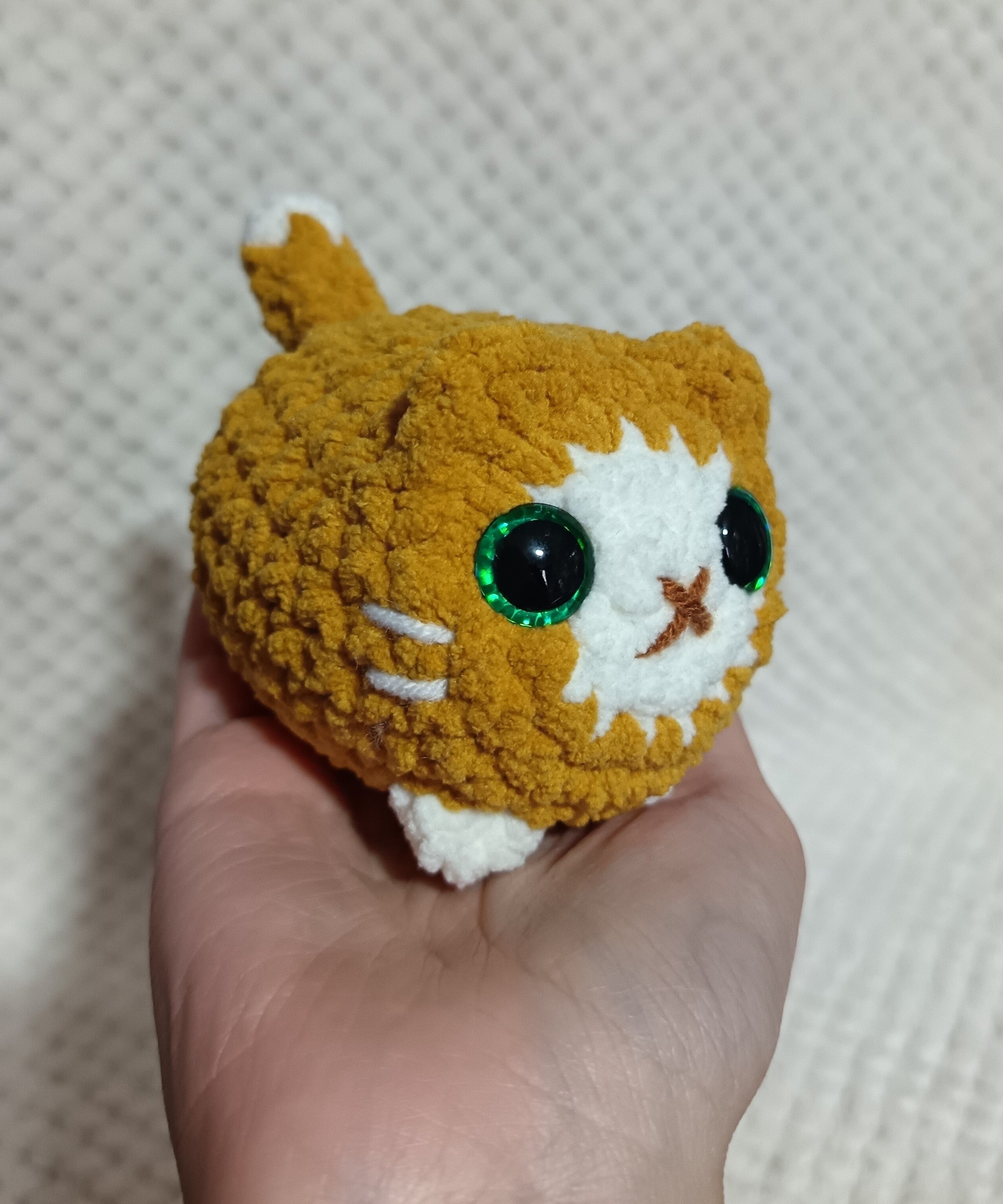 Chat boule roux et blanc