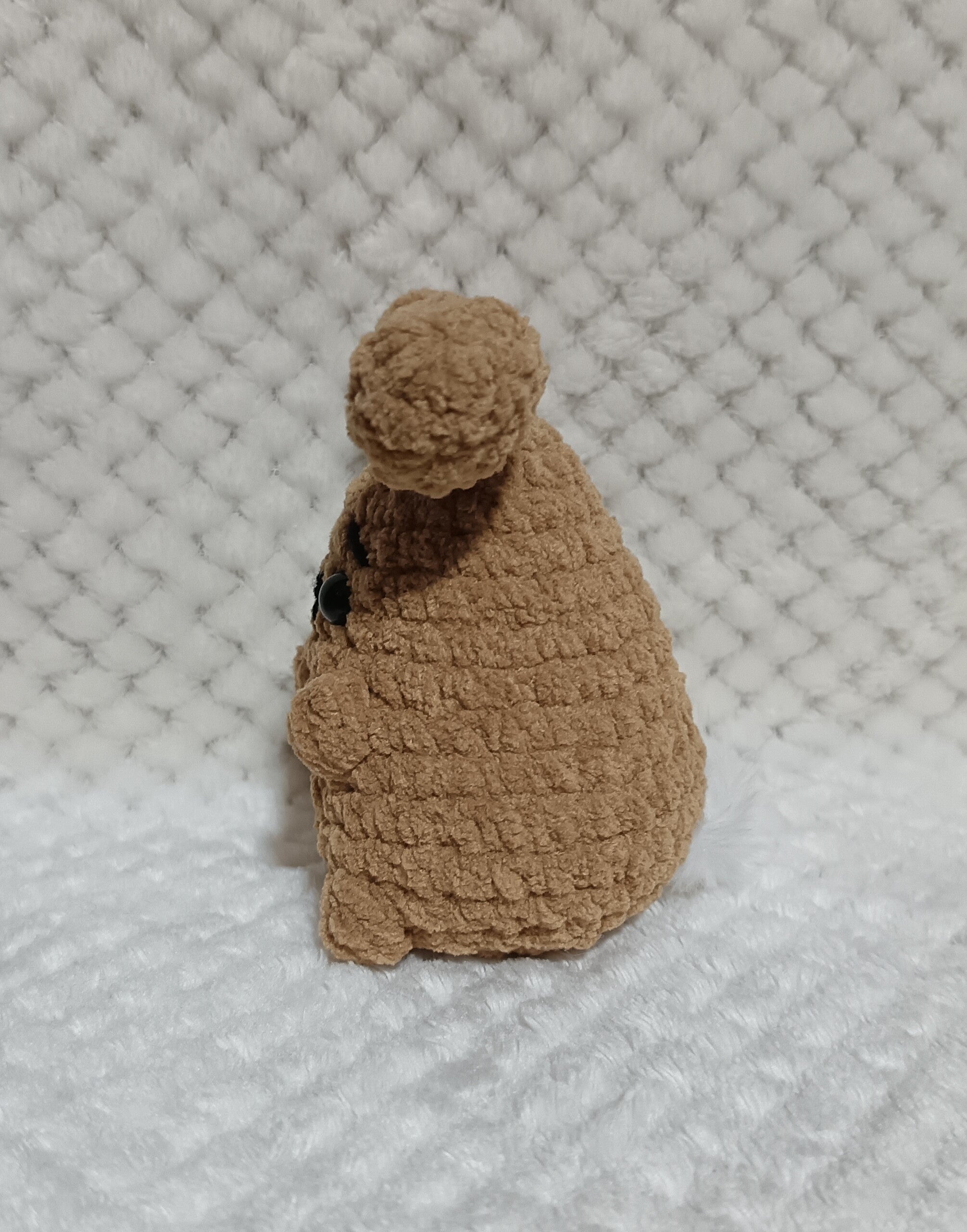 Petit Lapin