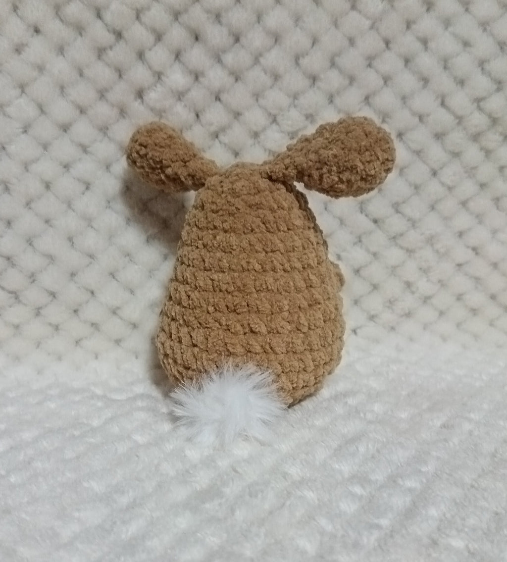 Petit Lapin