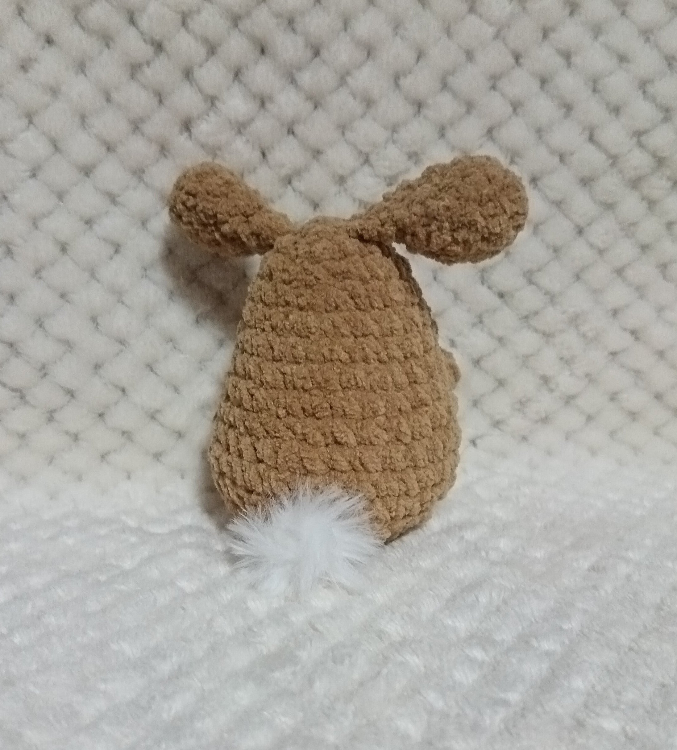 Petit Lapin