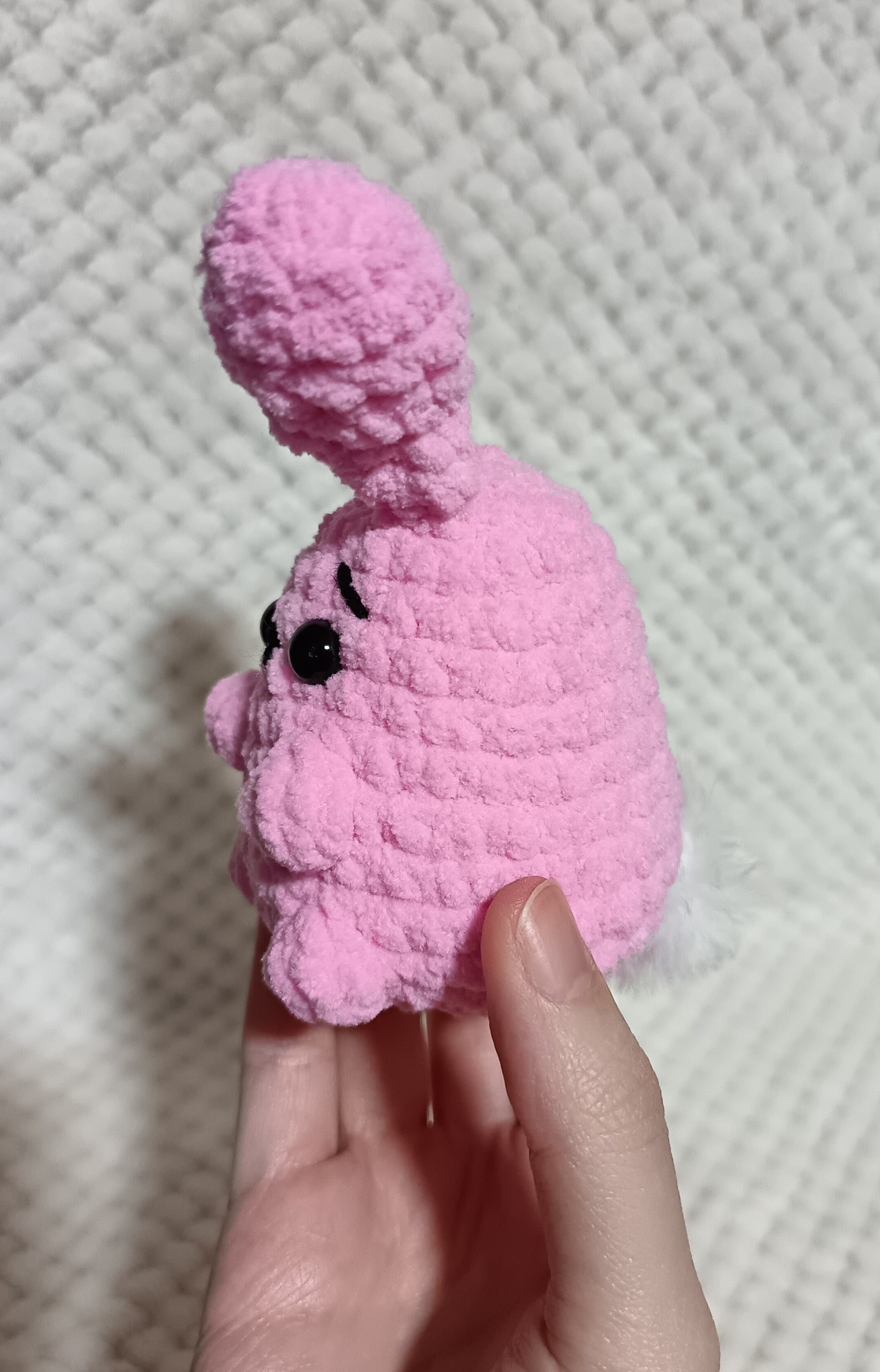 Petit Lapin