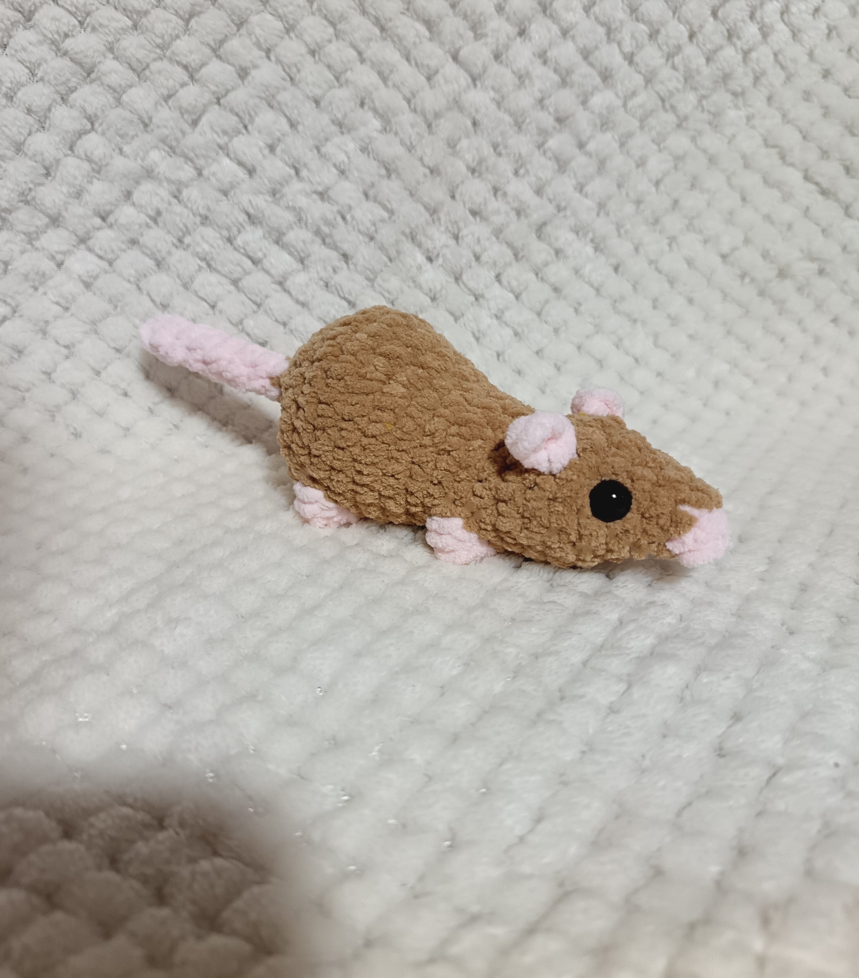 Petit rat