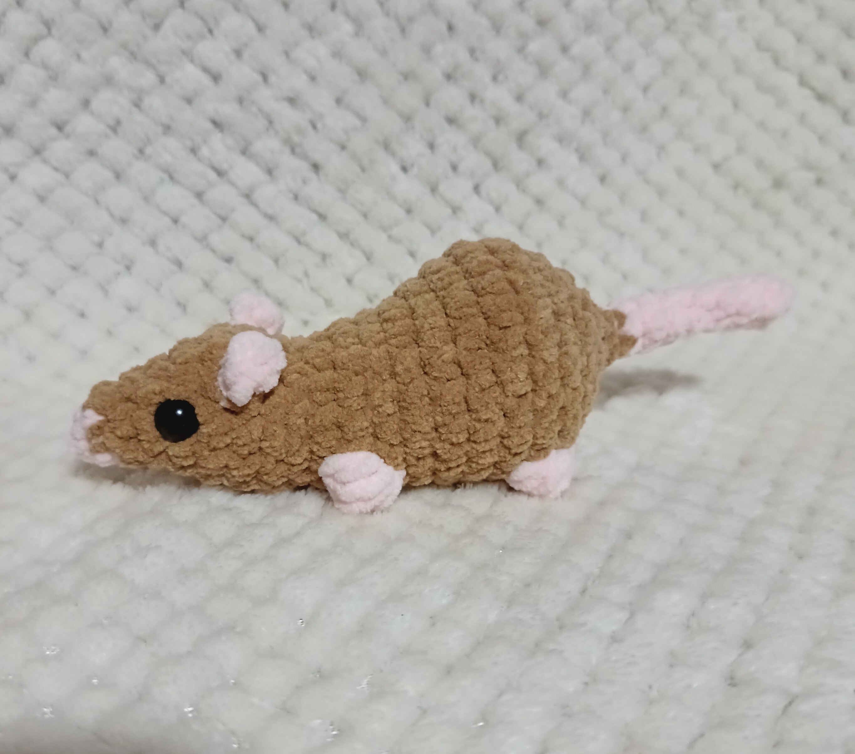 Petit rat