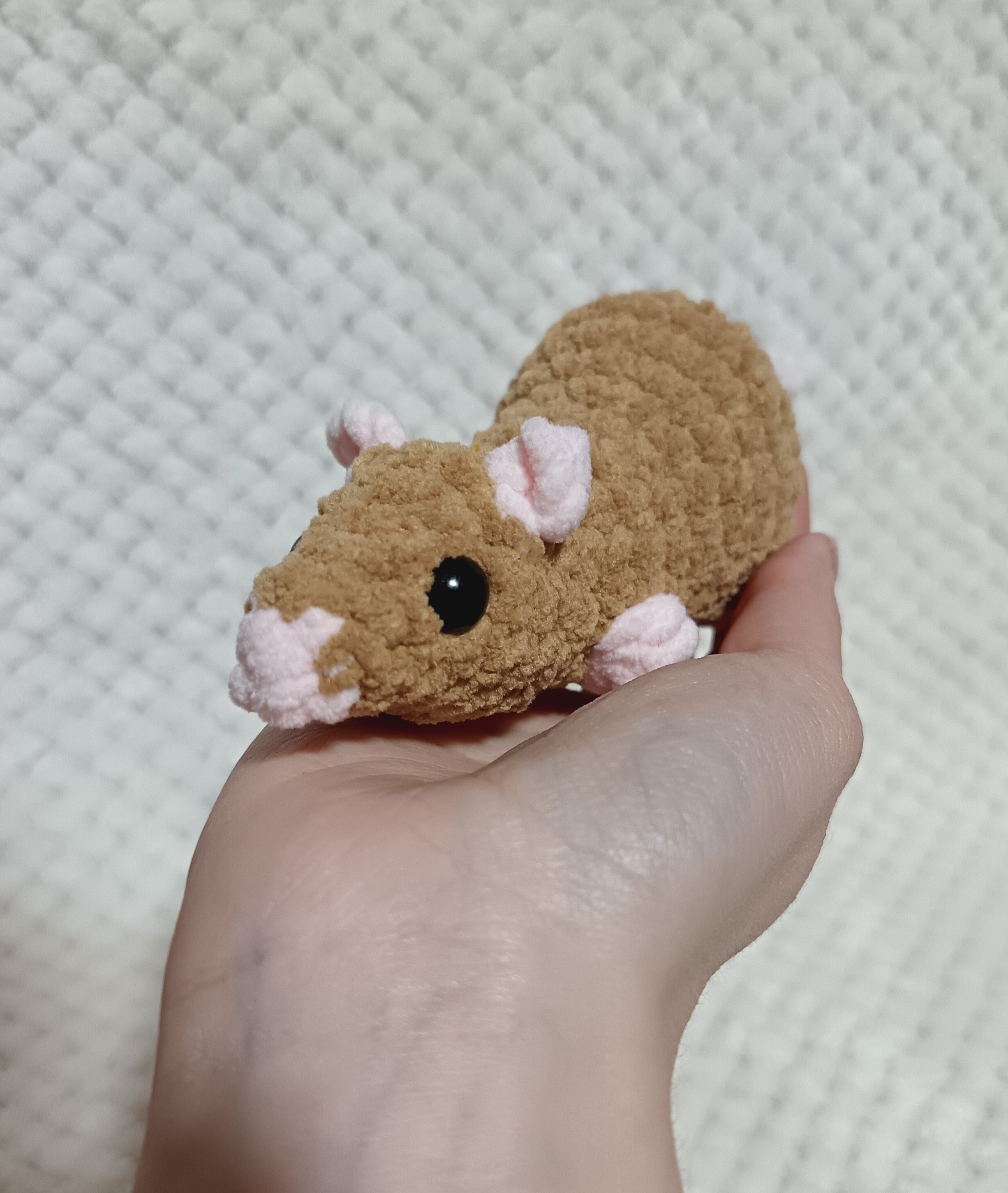 Petit rat