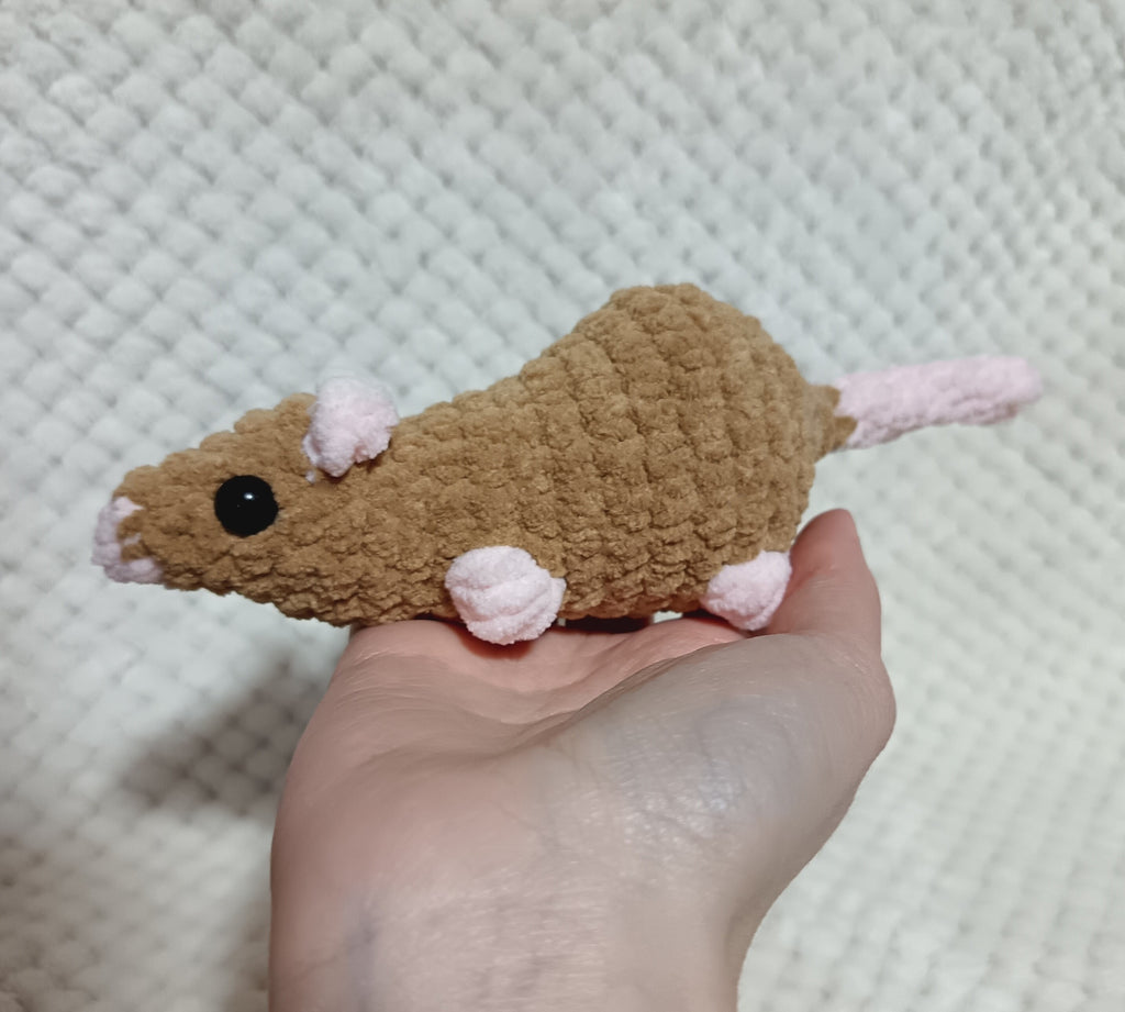 Petit rat