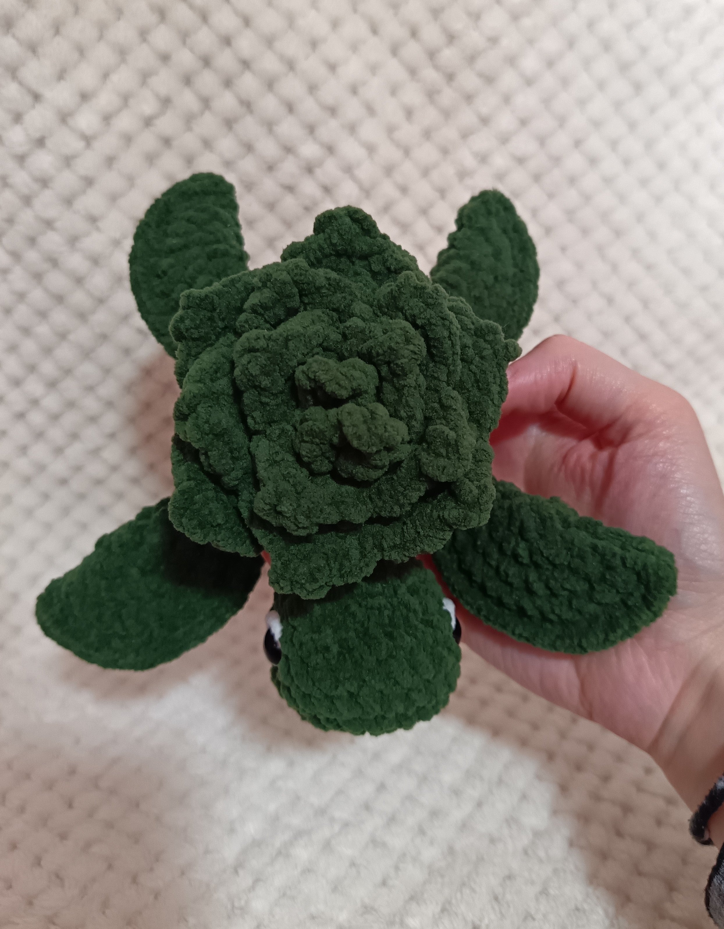 Tortue Succulente