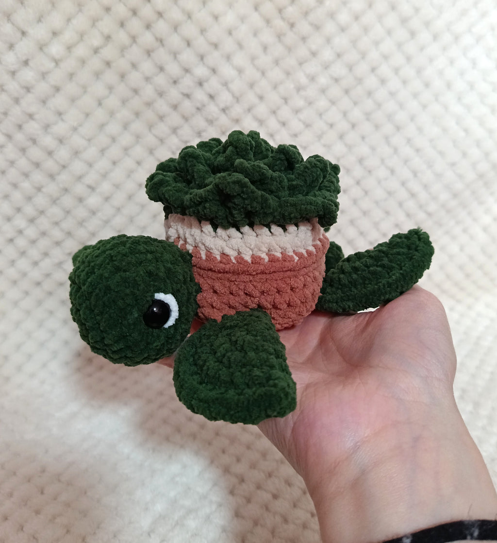Tortue Succulente